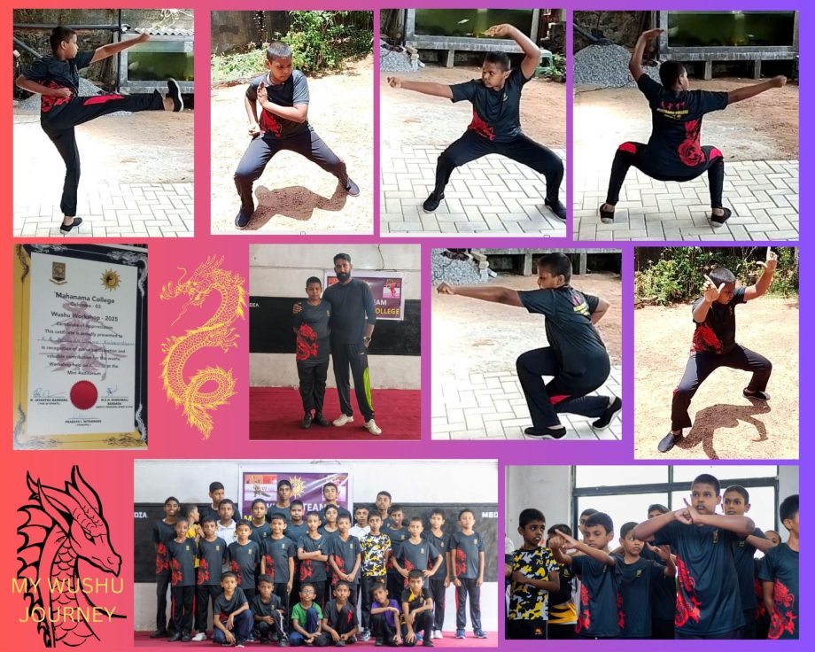 MY WUSHU JOURNEY